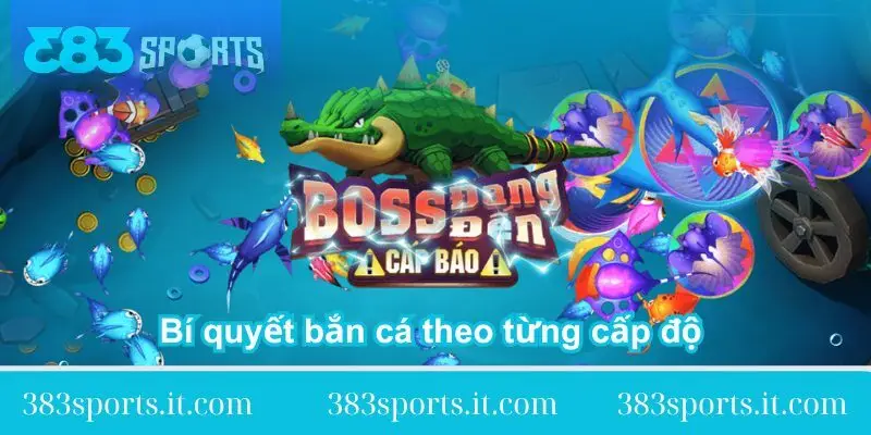 bi-quyet-ban-ca-theo-tung-cap-do-chi-tiet
