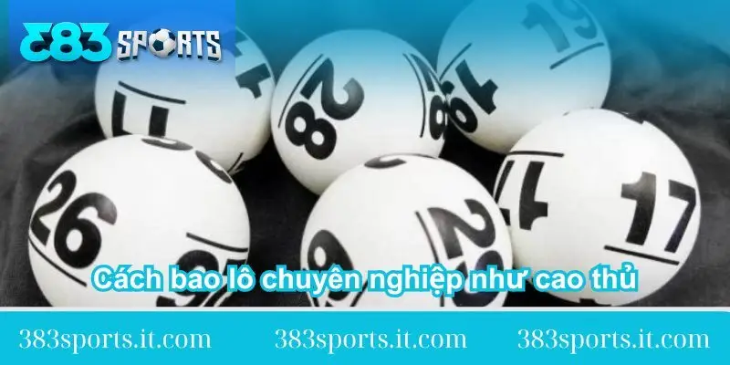 chia-se-cach-bao-lo-chuyen-nghiep-nhu-cao-thu