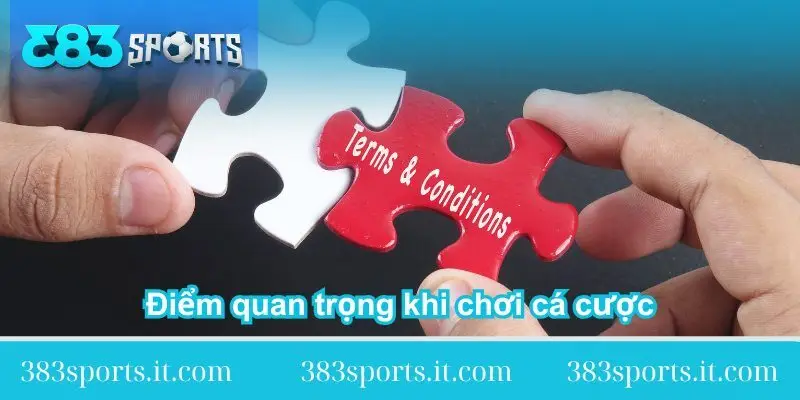 diem-quan-trong-khi-choi-ca-cuoc-tai-383sports