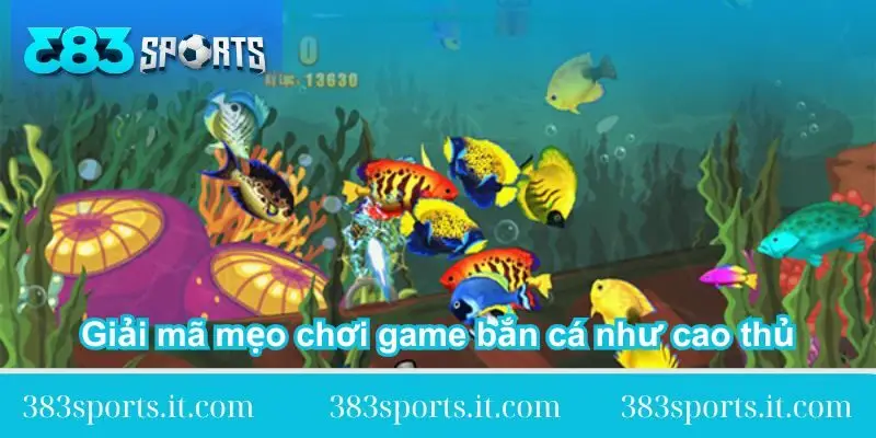 giai-ma-meo-choi-game-ban-ca-nhu-cao-thu