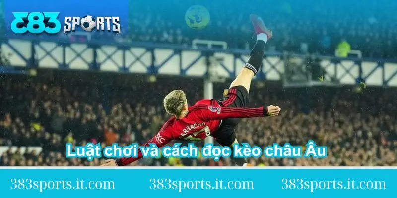 luat choi va cach doc keo chau au don gian luat-choi-va-cach-doc-keo-chau-au-don-gian