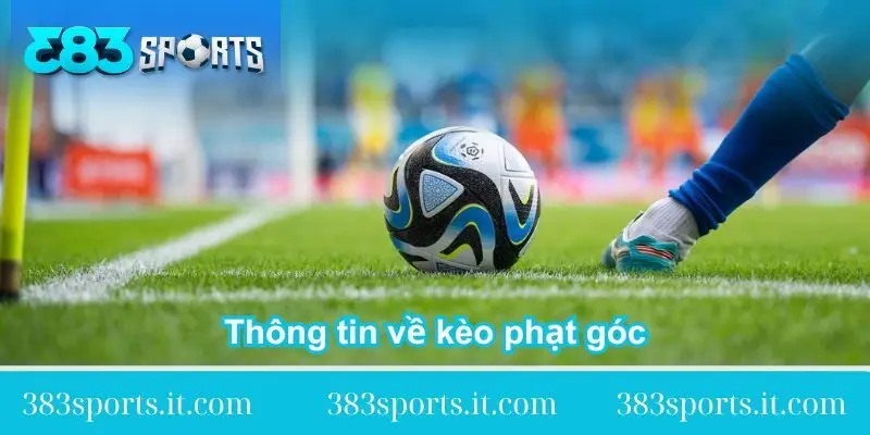 thong tin doi net ve keo phat goc thong-tin-doi-net-ve-keo-phat-goc