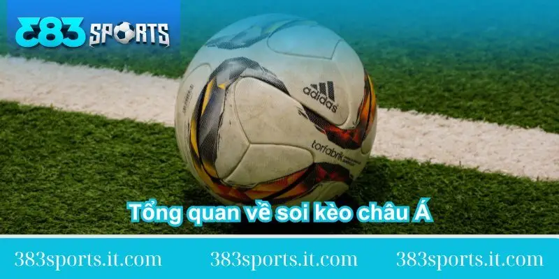 tong quan ve kinh nghiem soi keo chau a tong-quan-ve-kinh-nghiem-soi-keo-chau-a
