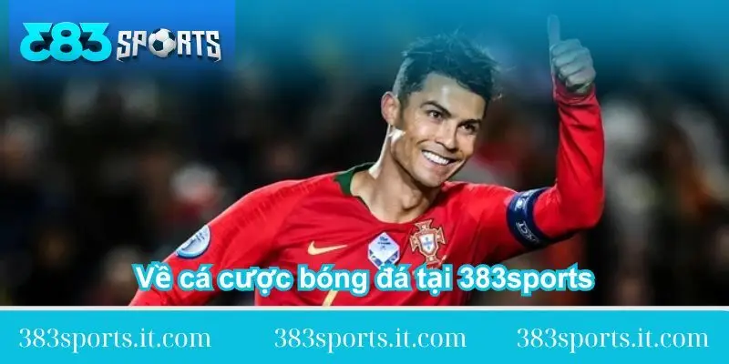 ve ca cuoc bong da tai 383sports ve-ca-cuoc-bong-da-tai-383sports